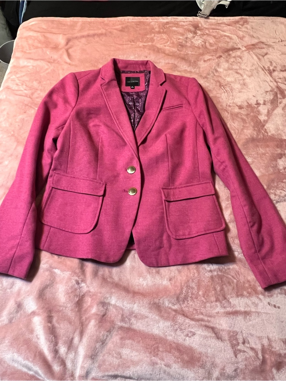 The Limited Hot Pink Two-Button Tailored Blazer